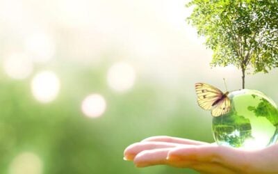 ESG Success Story: Reducing Hazardous Waste Disposal