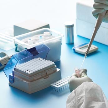 The Power of PCR Rapid and Accurate Detection