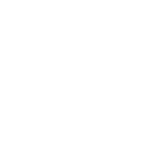 Semiconductor 300x300 2